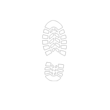 Shoe Shields 